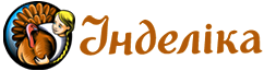 Partner 4